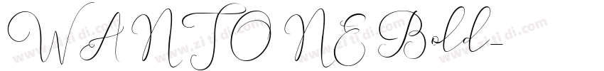WANTONE Bold字体转换